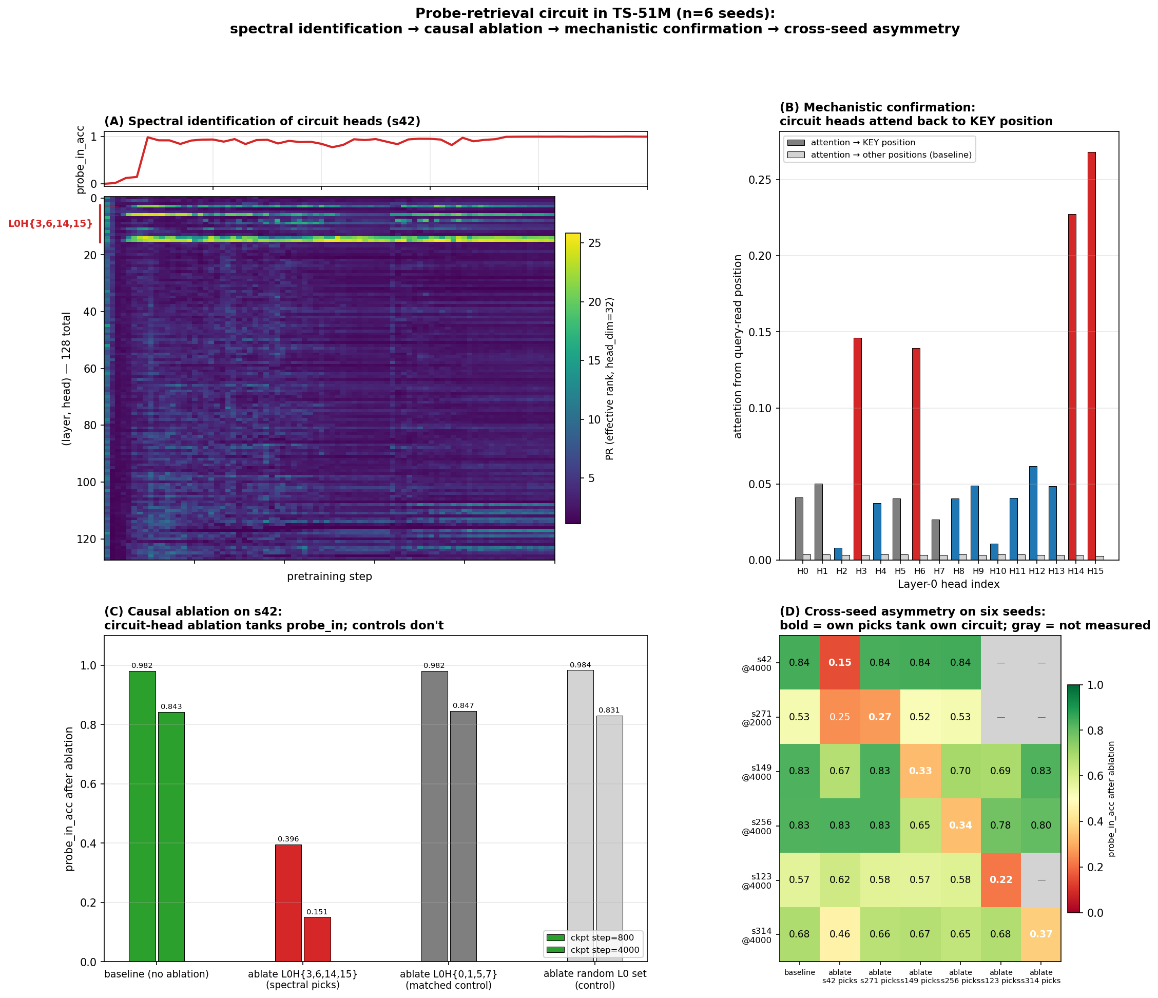 Per-head participation ratio during TS-51M pretraining identifies four L0 attention heads as the retrieval circuit on seed 42; causal ablation confirms 42–95× selectivity to the retrieval target.